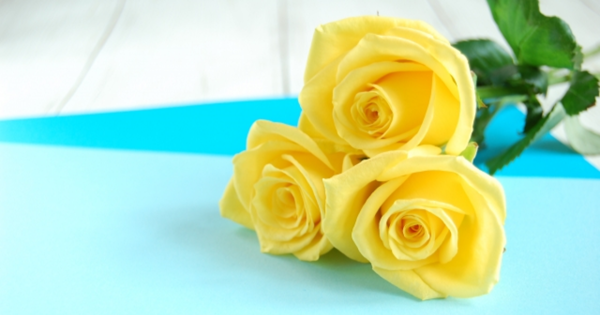 父の日の黄色いバラ
