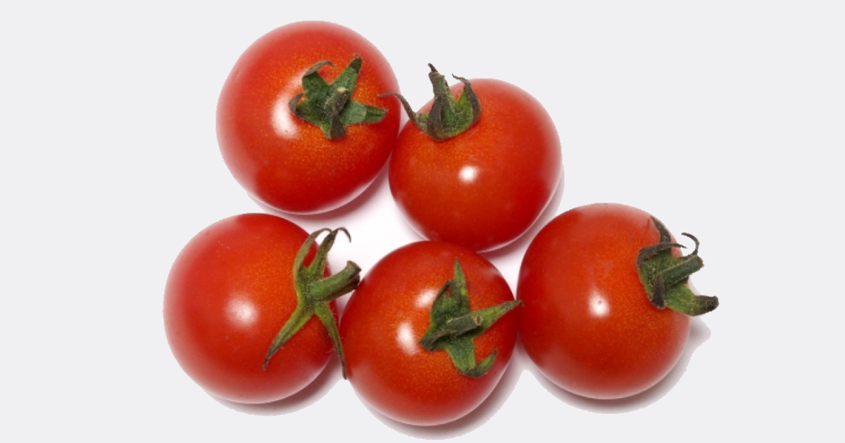 7月の旬食材　トマト